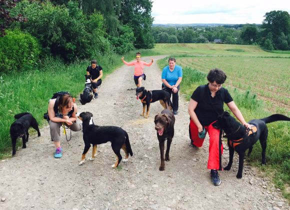 Fit-mit-Hund-Trainerausbildung-1.jpg